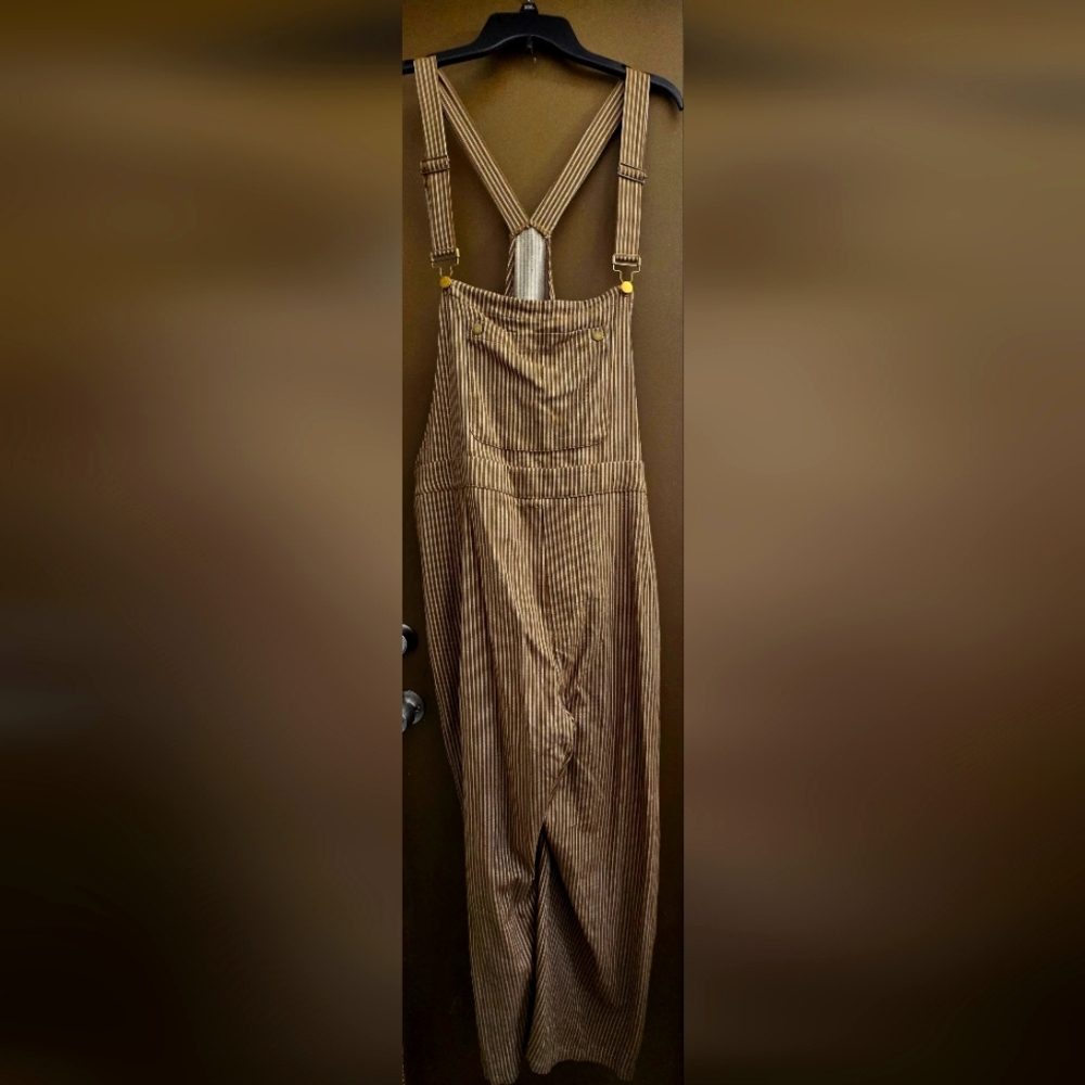 Cider plus size overalls